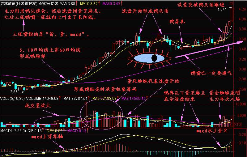 重庆股票开户时间表图片